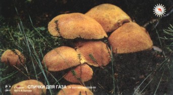 04.jpg