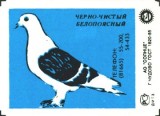 a01.jpg