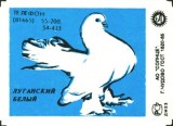 a04.jpg