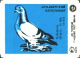a07.jpg