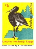 05.jpg
