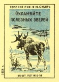 03.jpg