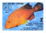 04.jpg